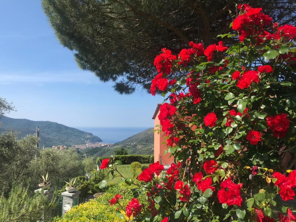 La Vignana - 5 Terre Hotell Levanto Eksteriør bilde